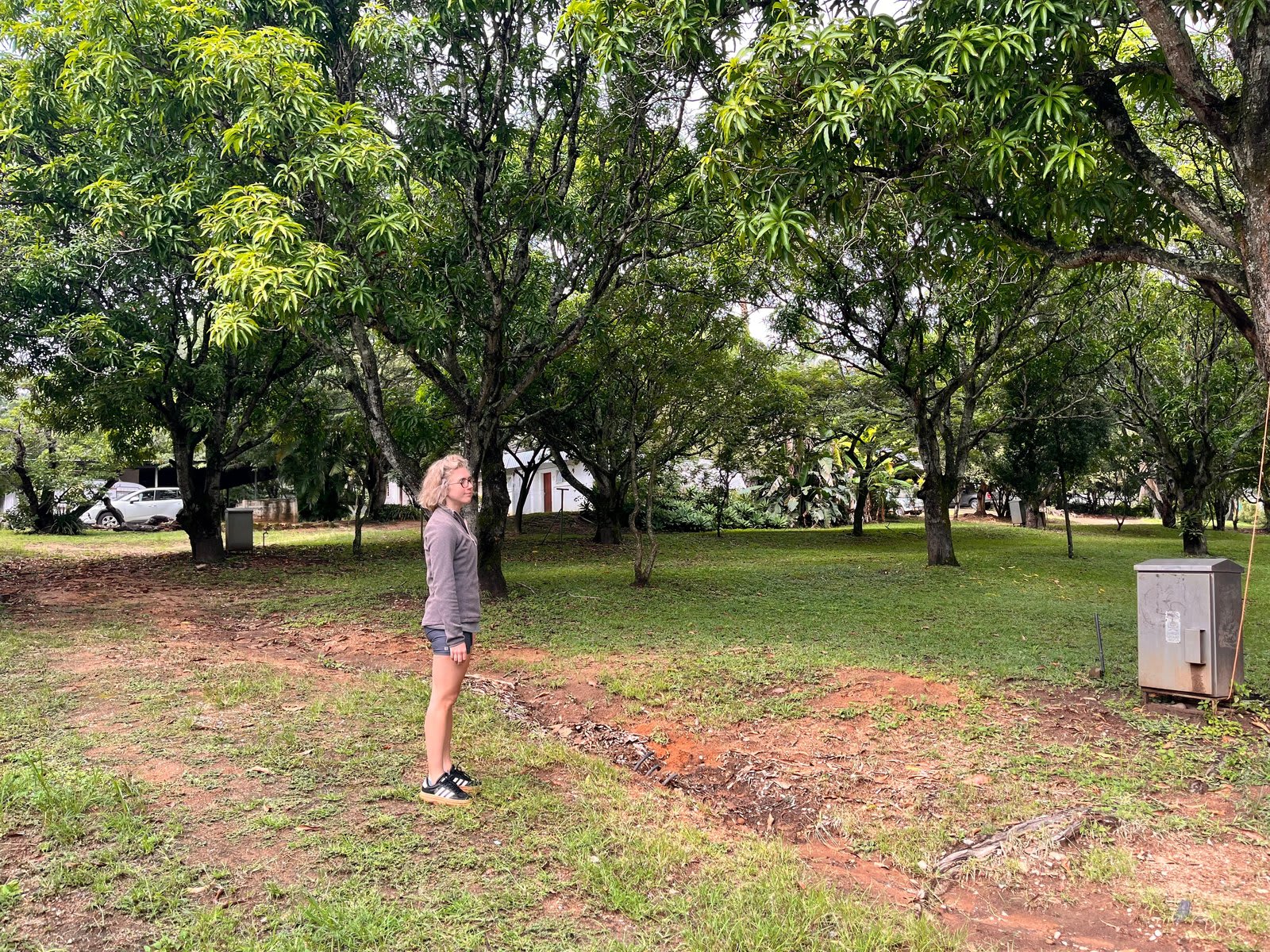 The Kanaan camping ground — open grass under the shade of forty-year-old mango trees, with room for tents, rooftop tents and small campers.